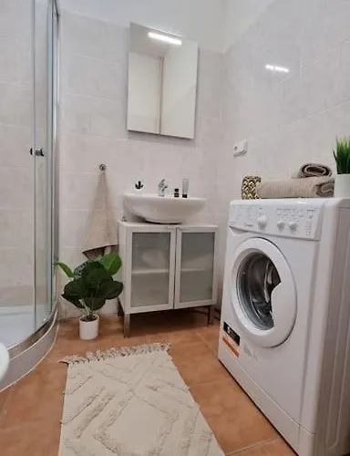 Finnem Sokolovska Apartament *